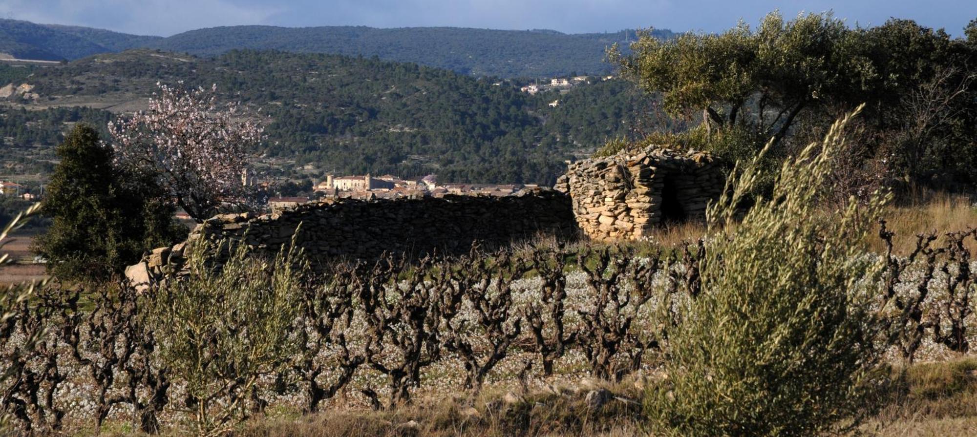 Maison Vigneronne De Bonne Maman - Climatisee Cesseras Ngoại thất bức ảnh